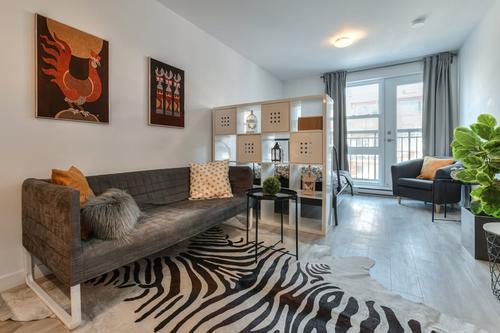 Studio à louer à Montreal - Mercier–Hochelaga-Maisonneuve — photo 2