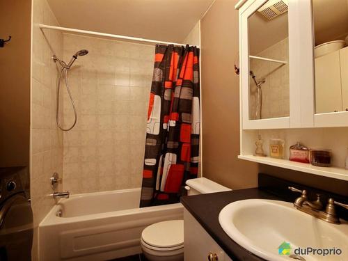 Appartement de 2 chambres à louer à Montreal - Rosemont–La Petite-Patrie — photo 14