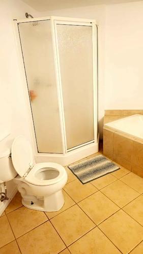 1 bedroom apartment for rent in Lévis — photo 3