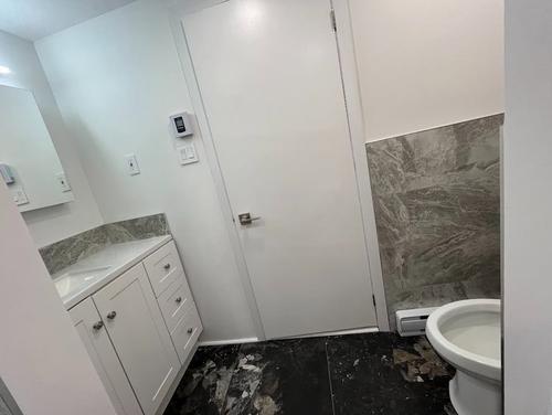 1 bedroom apartment for rent in Montreal - Le Plateau-Mont-Royal — photo 11