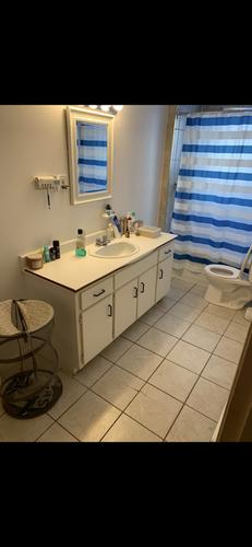 1 bedroom apartment for rent in Gatineau — photo 4