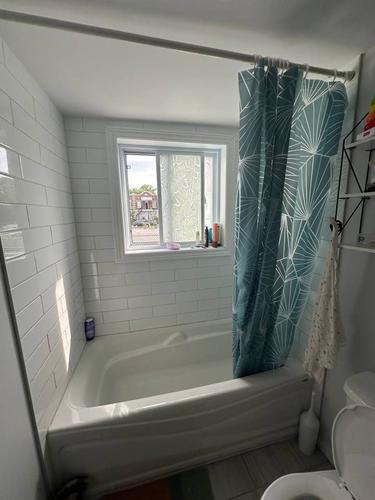 Appartement de 2 chambres à louer à Montreal - Rosemont–La Petite-Patrie — photo 13