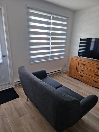 2 bedrooms apartment for rent in Montreal - Rosemont–La Petite-Patrie — photo 8