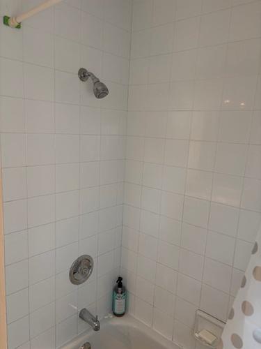2 bedrooms apartment for rent in Sherbrooke — photo 15