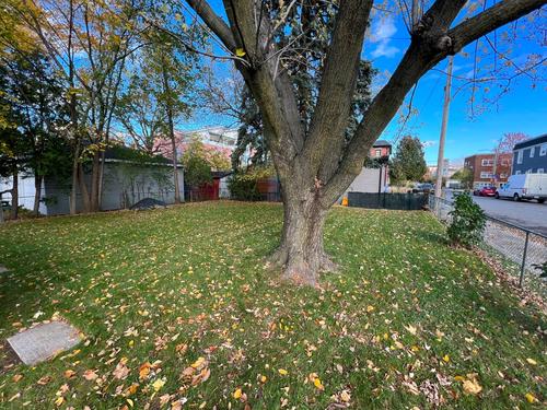 3 bedrooms apartment for rent in Longueuil — photo 11