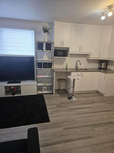 1 bedroom apartment for rent in Gatineau — photo 6