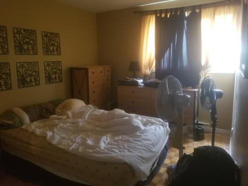 3 bedrooms apartment for rent in Longueuil — photo 5