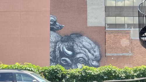 Studio à louer à Montreal - Le Plateau-Mont-Royal — photo 11
