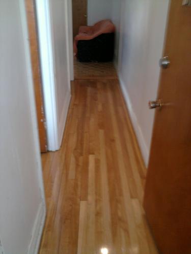 1 bedroom apartment for rent in Montreal - Villeray–Saint-Michel–Parc-Extension — photo 2
