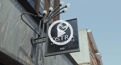 Studio à louer à Québec - La Cité-Limoilou — photo 17