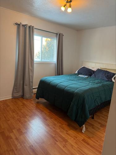 Appartement de 1 chambre à louer à Sherbrooke — photo 4
