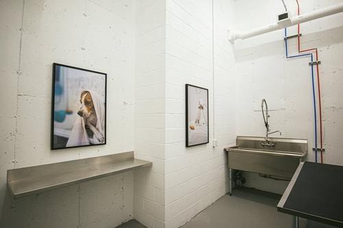 1 bedroom apartment for rent in Québec - La Cité-Limoilou — photo 29
