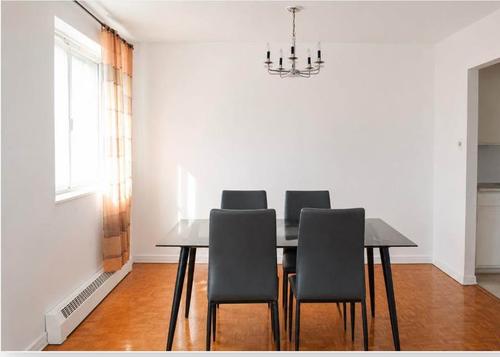 1 bedroom apartment for rent in Montreal - Saint-Laurent — photo 4