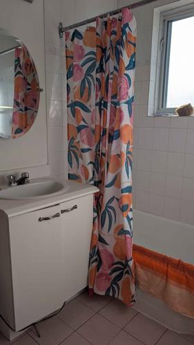 2 bedrooms apartment for rent in Montreal - Le Plateau-Mont-Royal — photo 4