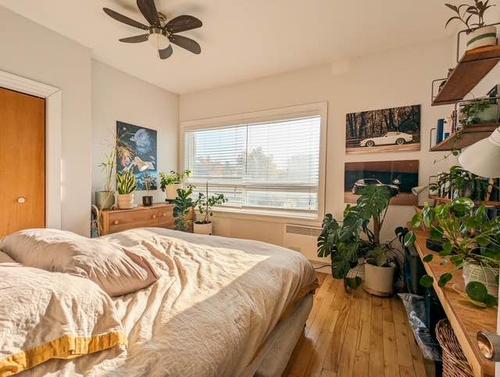 Appartement de 1 chambre à louer à Québec - La Cité-Limoilou — photo 5