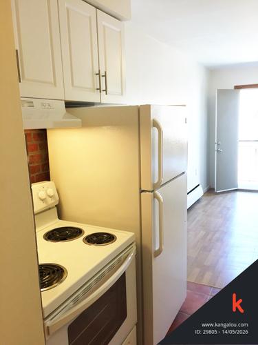 Studio for rent in Montreal - Le Plateau-Mont-Royal — photo 15