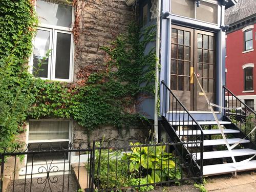 Appartement de 2 chambres à louer à Montreal - Le Plateau-Mont-Royal — photo 16