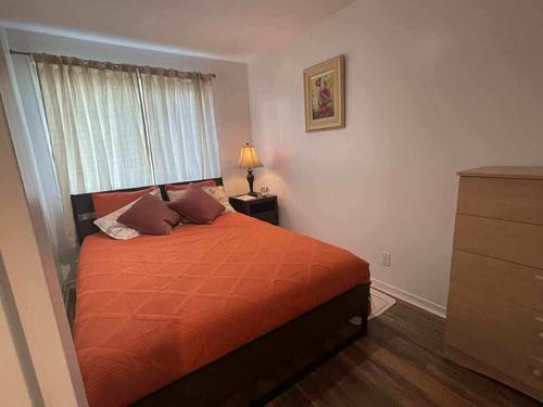 2 bedrooms apartment for rent in Longueuil — photo 2