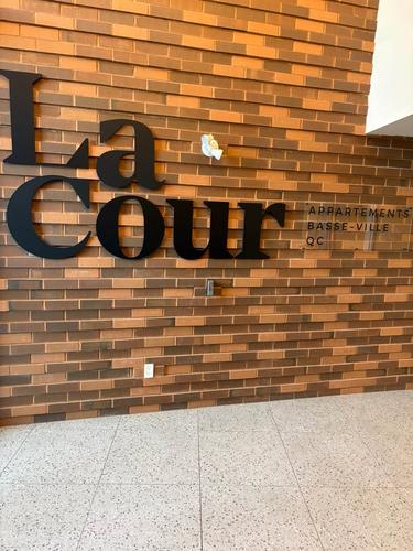 Appartement de 2 chambres à louer à Québec - La Cité-Limoilou — photo 11