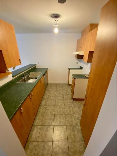 Appartement de 1 chambre à louer à Montreal - Le Plateau-Mont-Royal — photo 4