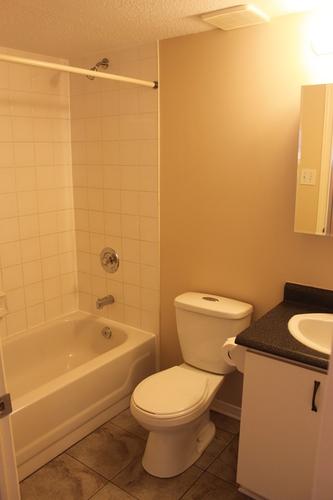 Appartement de 1 chambre à louer à Gatineau — photo 2