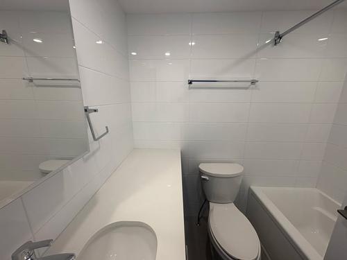 1 bedroom apartment for rent in Montreal - Le Plateau-Mont-Royal — photo 8