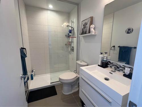 1 bedroom apartment for rent in Montreal - Ville-Marie — photo 9