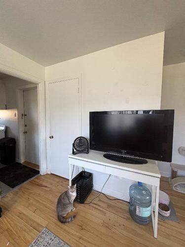 1 bedroom apartment for rent in Québec - Sainte-Foy–Sillery–Cap-Rouge — photo 3