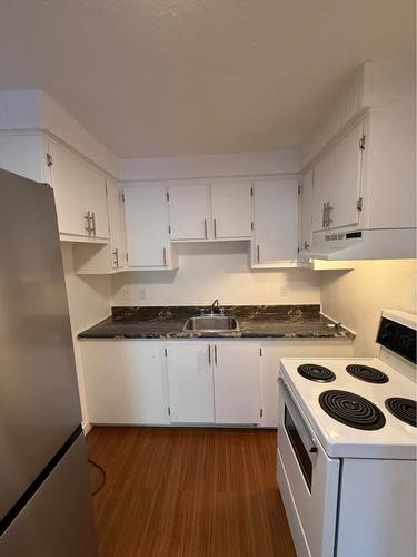 1 bedroom apartment for rent in Longueuil — photo 3