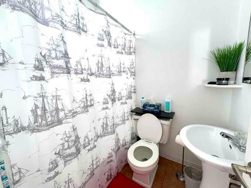 Studio à louer à Québec - La Cité-Limoilou — photo 4