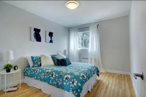 Appartement de 2 chambres à louer à Québec - La Cité-Limoilou — photo 3