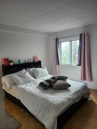 Appartement de 1 chambre à louer à Longueuil — photo 2