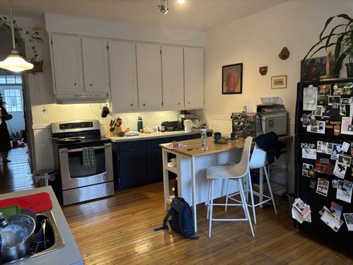 2 bedrooms apartment for rent in Montreal - Rosemont–La Petite-Patrie — photo 2