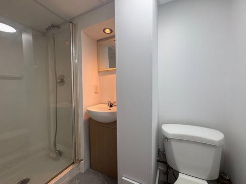 Appartement de 1 chambre à louer à Sherbrooke — photo 3