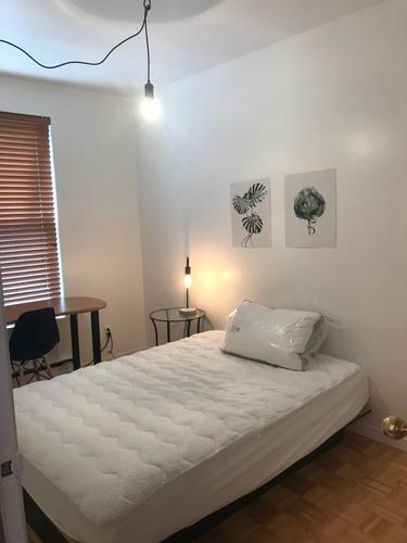 Appartement de 2 chambres à louer à Montreal - Le Plateau-Mont-Royal — photo 5