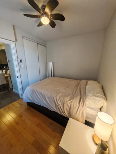 1 bedroom apartment for rent in Montreal - Rosemont–La Petite-Patrie — photo 5