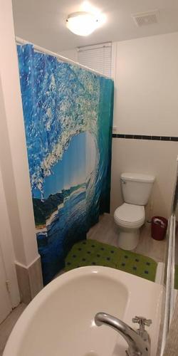 Studio à louer à Québec - Sainte-Foy–Sillery–Cap-Rouge — photo 4