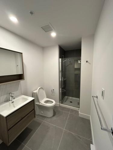1 bedroom apartment for rent in Montreal - Rosemont–La Petite-Patrie — photo 3