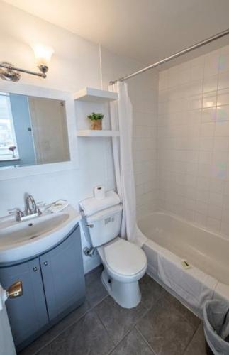 1 bedroom apartment for rent in Montreal - Le Plateau-Mont-Royal — photo 6