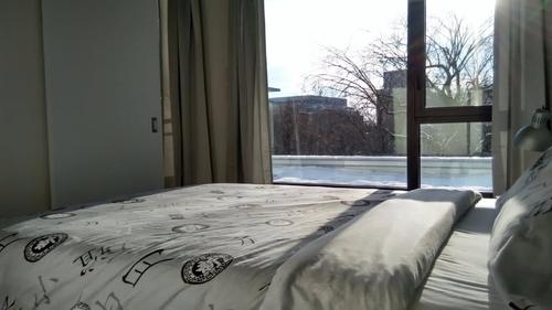 1 bedroom apartment for rent in Montreal - Ville-Marie — photo 5