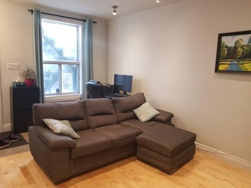 1 bedroom apartment for rent in Montreal - Rosemont–La Petite-Patrie — photo 3