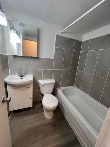 1 bedroom apartment for rent in Montreal - Rosemont–La Petite-Patrie — photo 3