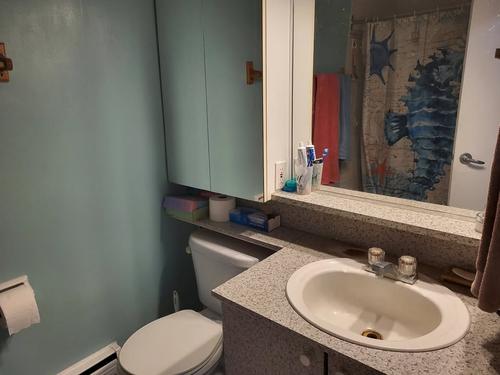 1 bedroom apartment for rent in Montreal - Le Plateau-Mont-Royal — photo 6