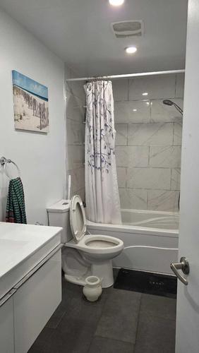 1 bedroom apartment for rent in Montreal - Saint-Laurent — photo 4