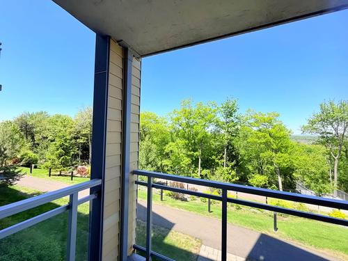 1 bedroom apartment for rent in Lévis — photo 15