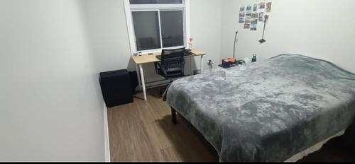 4 bedrooms apartment for rent in Montreal - Le Plateau-Mont-Royal — photo 4