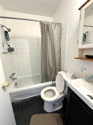 Appartement de 2 chambres à louer à Montreal - Le Plateau-Mont-Royal — photo 7