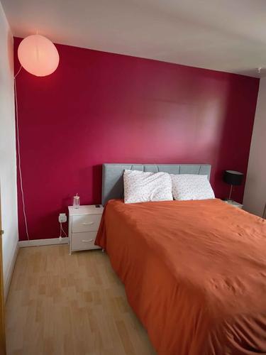 Appartement de 2 chambres à louer à Québec - La Cité-Limoilou — photo 16