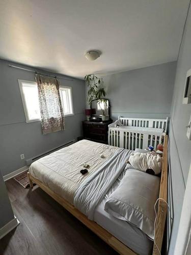 Appartement de 2 chambres à louer à Montreal - Rosemont–La Petite-Patrie — photo 20