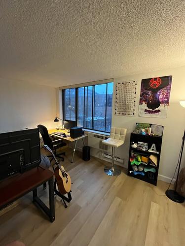 Appartement de 2 chambres à louer à Montreal - Le Plateau-Mont-Royal — photo 4